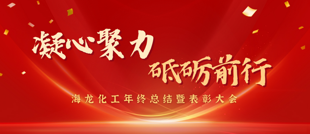 表彰 | 凝心聚力，砥礪前行，海龍化工年終總結(jié)暨表彰大會(huì)圓滿舉行