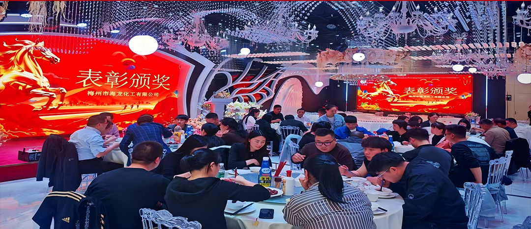 騏驥開(kāi)道，奮進(jìn)新篇 | 海龍化工2025年終工作總結(jié)表彰暨團(tuán)年晚宴圓滿(mǎn)落幕